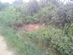 1,500 Square Meters of Land at Banana Island Estate Ikoyi