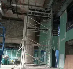9 Meters Scaffolding Ladder
