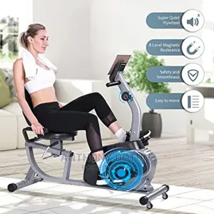 Magnetic Recumbent Exercise Bike Indoor Stationary Bike