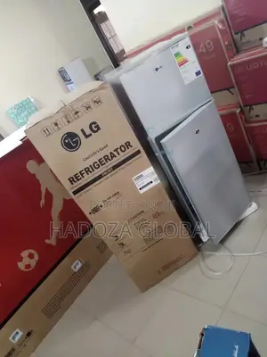 Brand New Lg Rfefrigerator Clg250sl With Interior Features