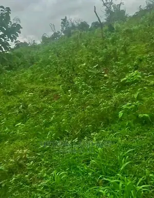 50 Acres of Land for Sale at Per Acre at a Saved Area