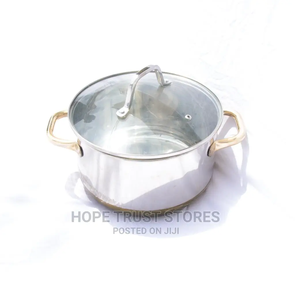 Stainless Steel Cooking Pot