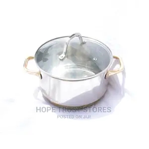 Stainless Steel Cooking Pot