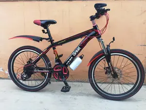 L Link Sports Size 20 Bike