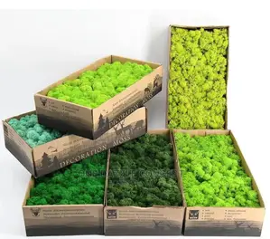 Artificial Moss