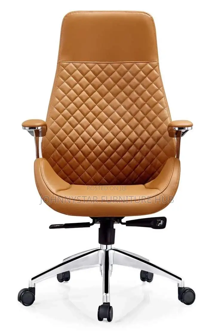 Italian Unique Executive M.D Office Chairs