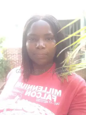 Cleaners at Your Door Step