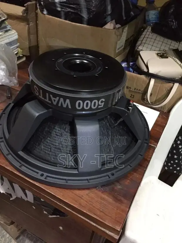 Original 5000-Watts Biggest Magnet 18-Inches Titanic Sub SPK in