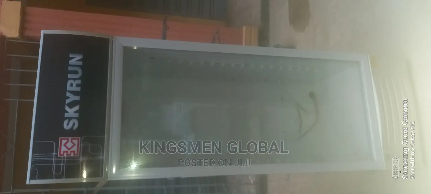 Skyrun Commercial Chiller