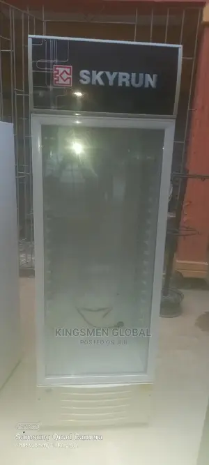 Skyrun Commercial Chiller
