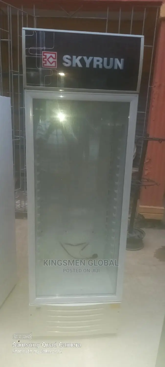 Skyrun Commercial Chiller