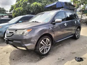 Acura MDX 2008 Gray