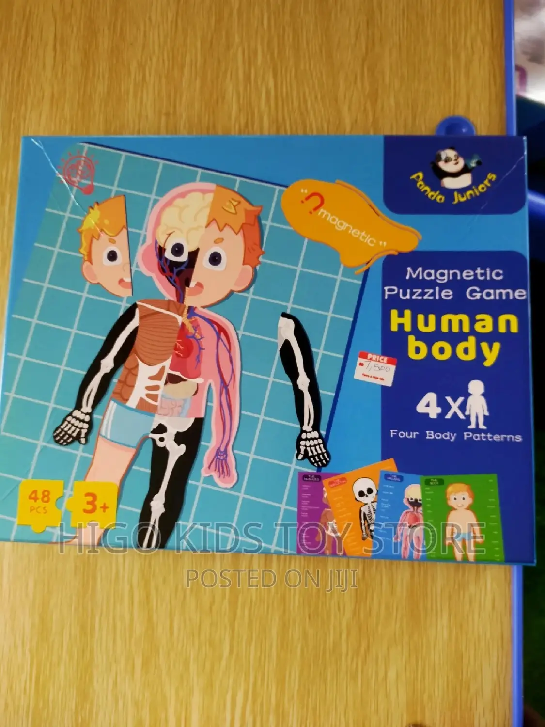Magnetic Puzzle Game Human Body