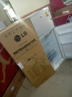 Brand New LG Refrigerator With Reversible Double Door