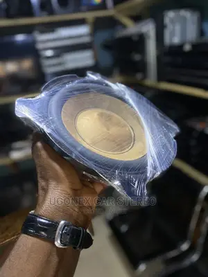 2008-12 Honda Accord Factory Subwoofer