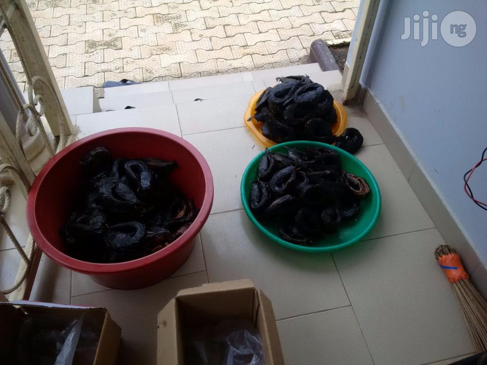 Fish Farming Made Easy