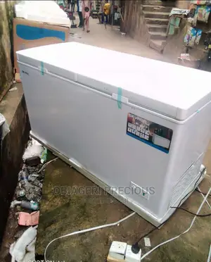 Skyrun Double Door Freezer