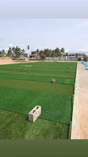 50MM Football Grass