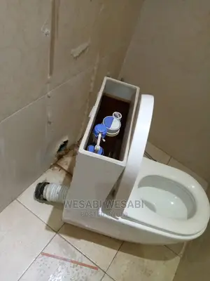 Plumbing Services and Repairs