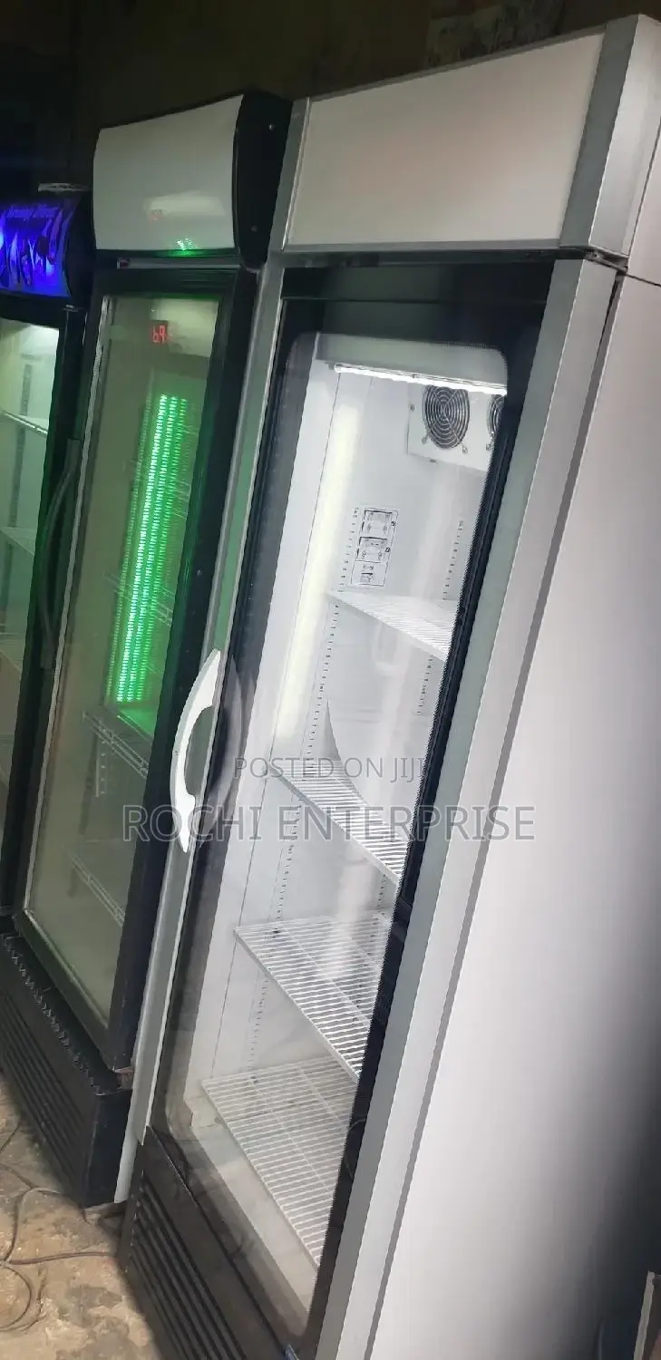 Inverter Display Chiller Fridge