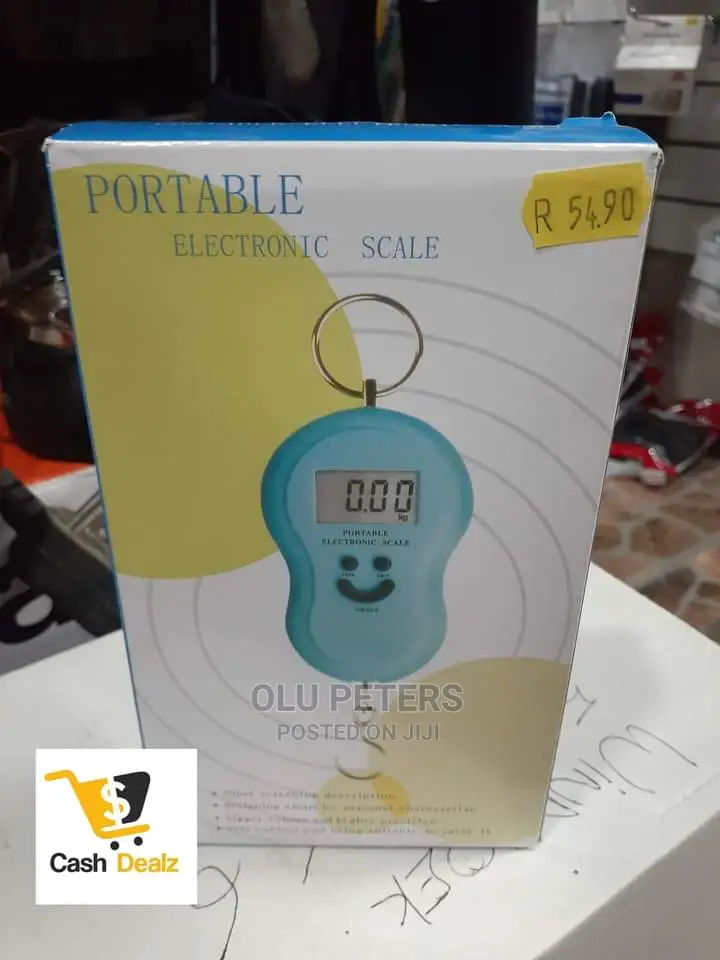 Electronic Portable Scare