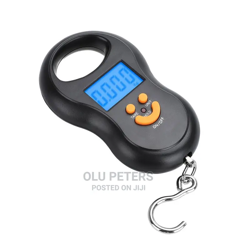 Electronic Portable Scare