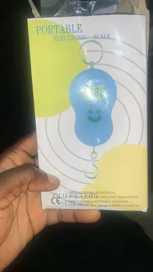 Electronic Portable Scare