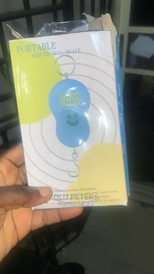Electronic Portable Scare