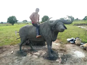 Sculpture (Environmental Sculpture)