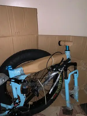 Adjustable Big Tire Bicycle