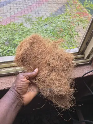 Coconut Fiber for Bio Digester