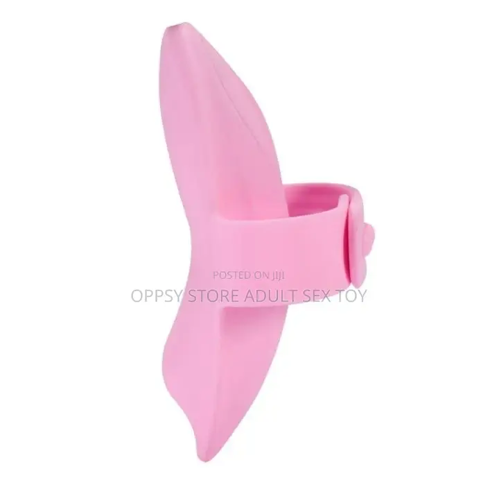 Secret Pant Vibrator Remote Control Vibrator
