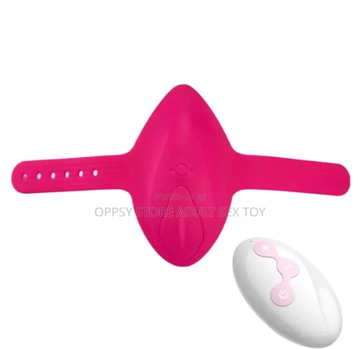 Secret Pant Vibrator Remote Control Vibrator