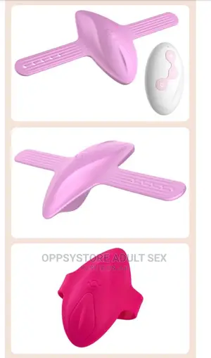 Secret Pant Vibrator Remote Control Vibrator
