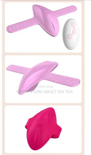 Secret Pant Vibrator Remote Control Vibrator