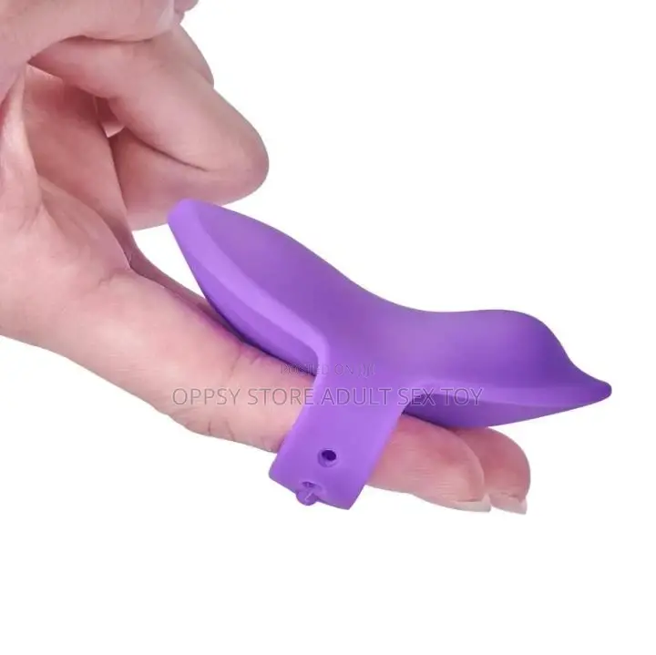 Secret Pant Vibrator Remote Control Vibrator