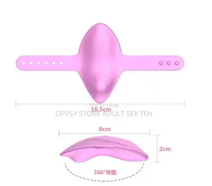Secret Pant Vibrator Remote Control Vibrator