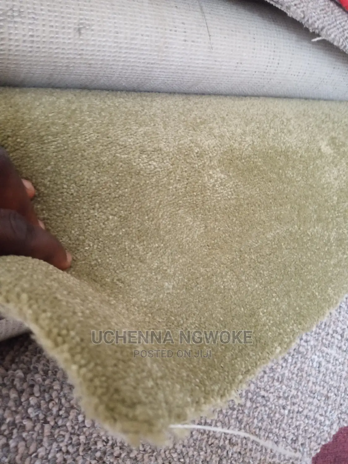Standard Full Vip Rug
