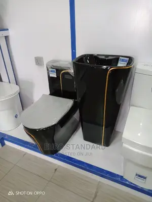 Master Wc and Standing Basin Top Flush