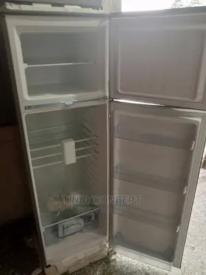Skyrun Refrigerator Model 250m