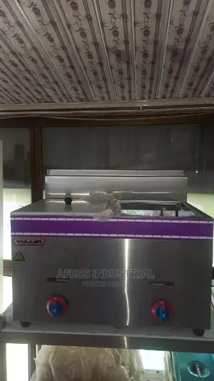 Deep Fryer 10L Double