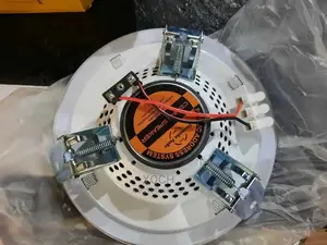 Ceiling/Pop Speaker