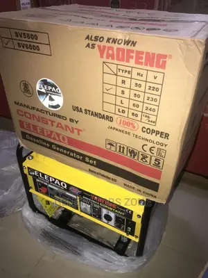 4.5KVA Elepaq Constant Manual Starter Generator-Standard