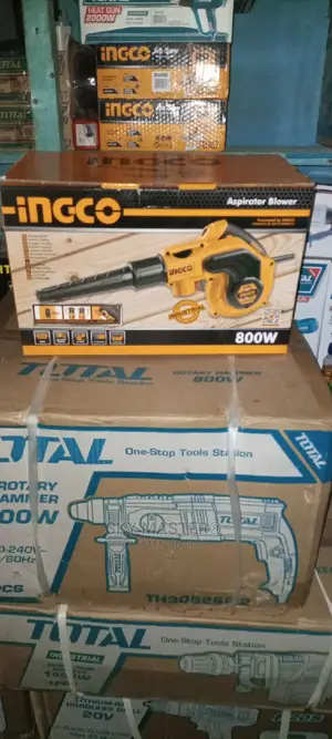Ingco 800w Air Blower
