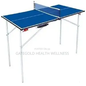 Portable Tennis Table E909
