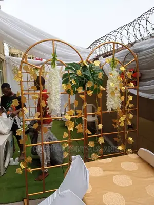 Rentals; Backdrops, Decors.