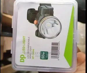 Security Head Light