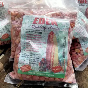 Maize Seed