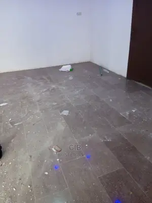 Gib Industrial Deep Cleaning Services (Lekki)