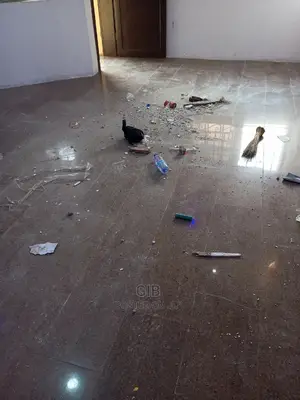 Gib Industrial Deep Cleaning Services (Lekki)